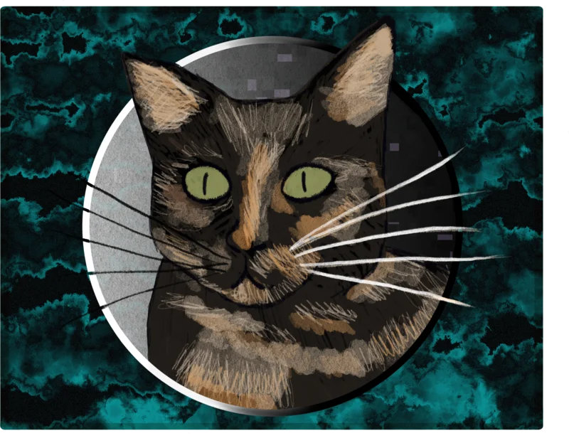 Artwork of Guinnevere